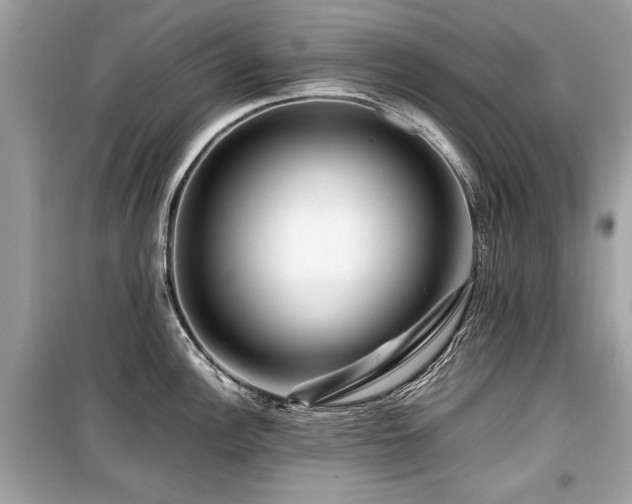 X0000099531148200805161205