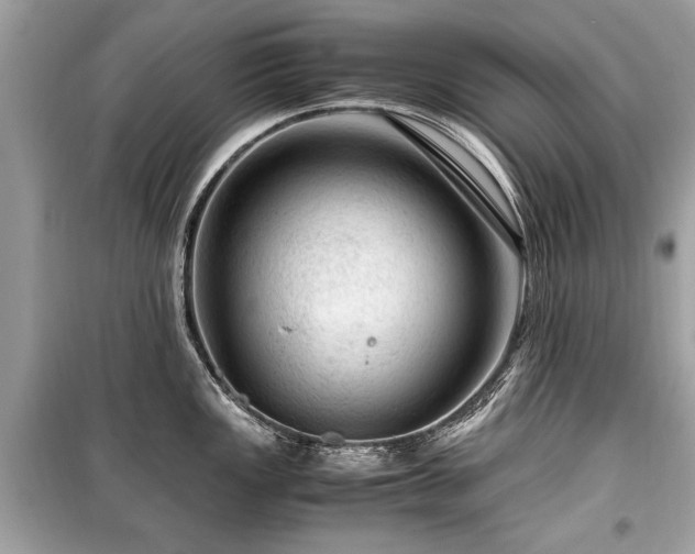 X0000099531149200805161205