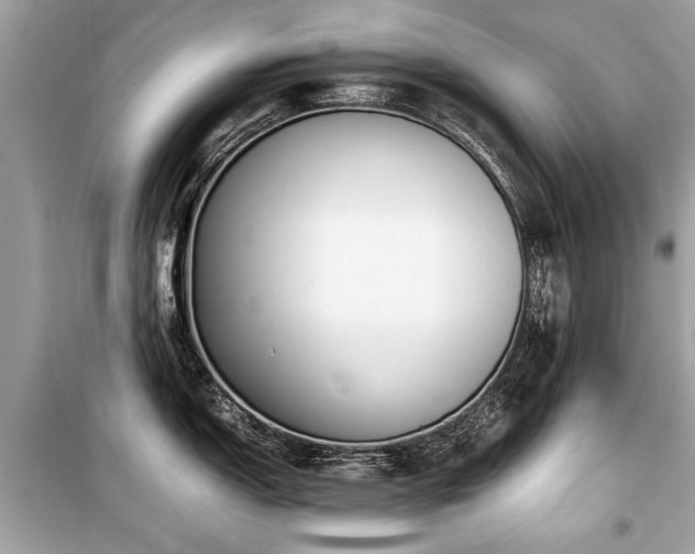 X0000099531150200805161205