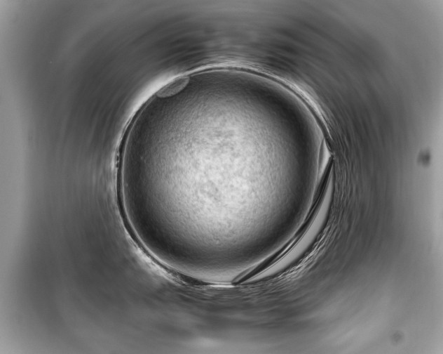 X0000099531151200805161205
