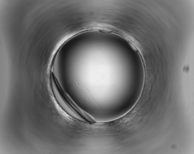 X0000099531152200805161205