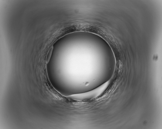X0000099531153200805161204