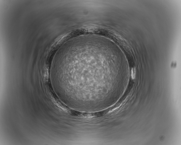X0000099531155200805161204