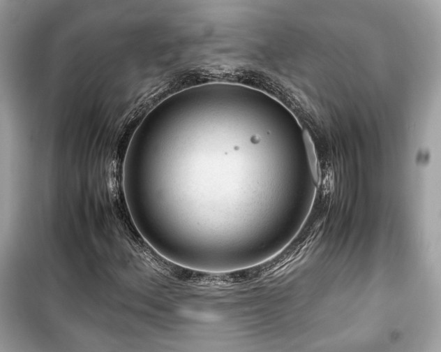 X0000099531156200805161204