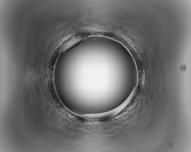 X0000099531157200805161204