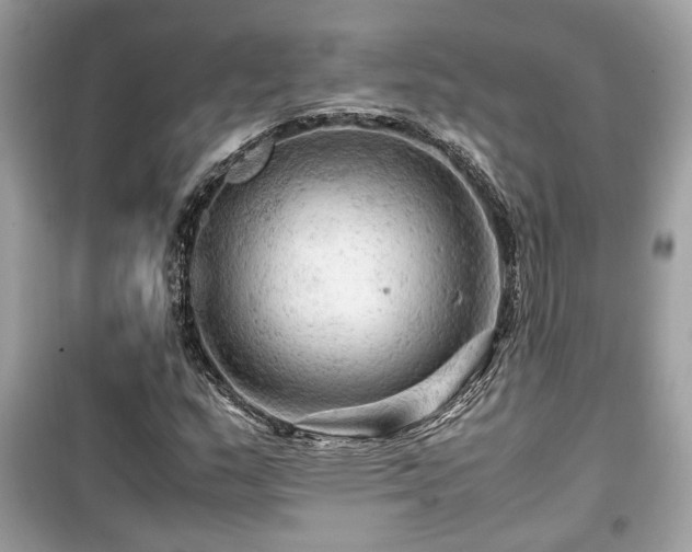 X0000099531159200805161204