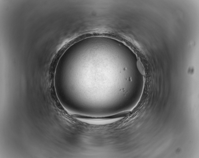 X0000099531160200805161204