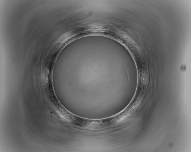 X0000099531161200805161204