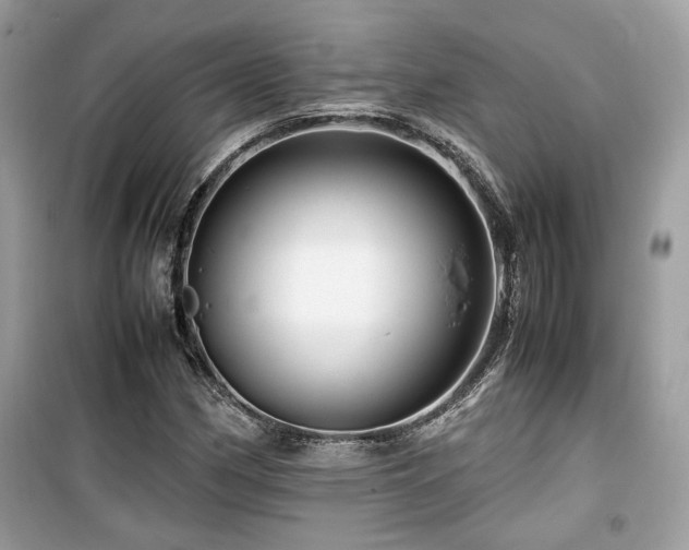 X0000099531162200805161204