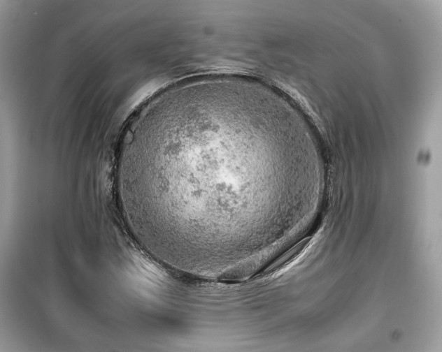 X0000099531163200805161204