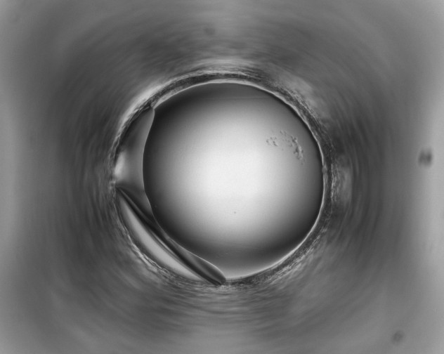 X0000099531164200805161204
