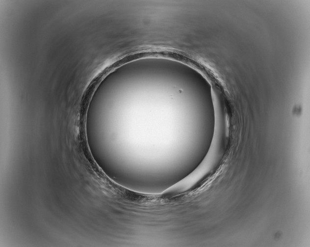 X0000099531165200805161204