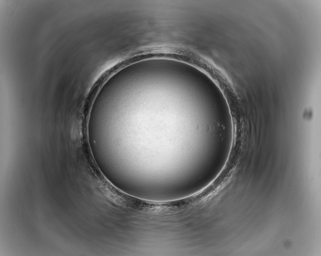 X0000099531166200805161204