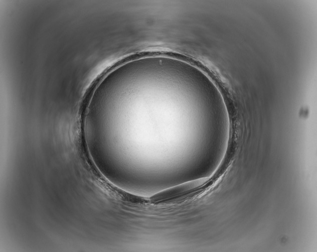 X0000099531167200805161204