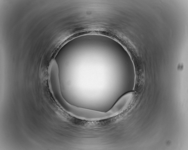 X0000099531169200805161204