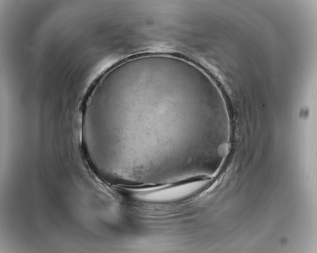 X0000099531171200805161204