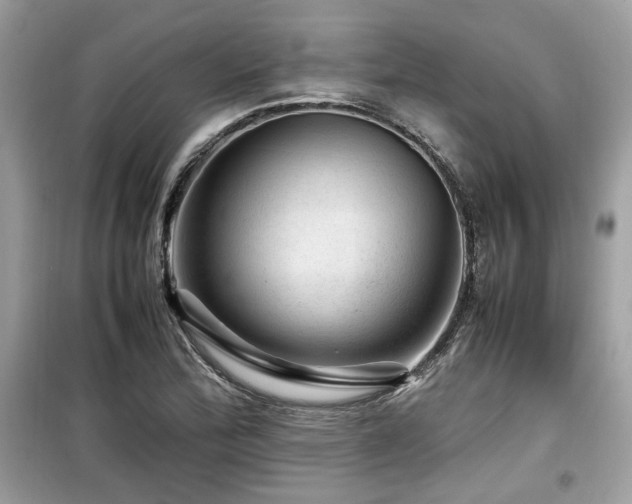 X0000099531172200805161204