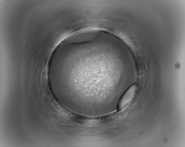X0000099531173200805161204