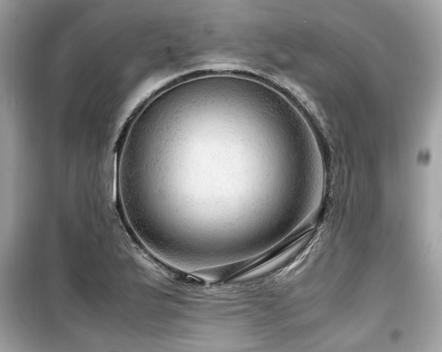 X0000099531175200805161204