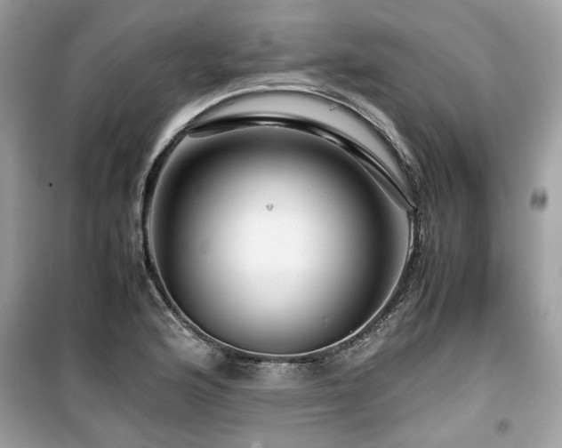 X0000099531176200805161204