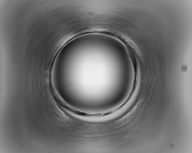 X0000099531177200805161204
