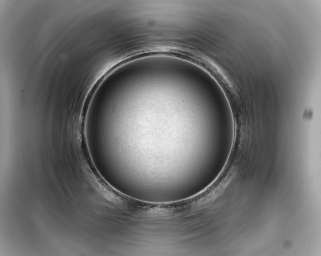 X0000099531178200805161204