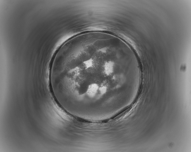 X0000099531179200805161204