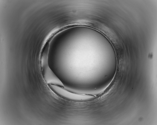 X0000099531180200805161204