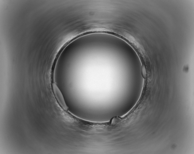 X0000099531181200805161204