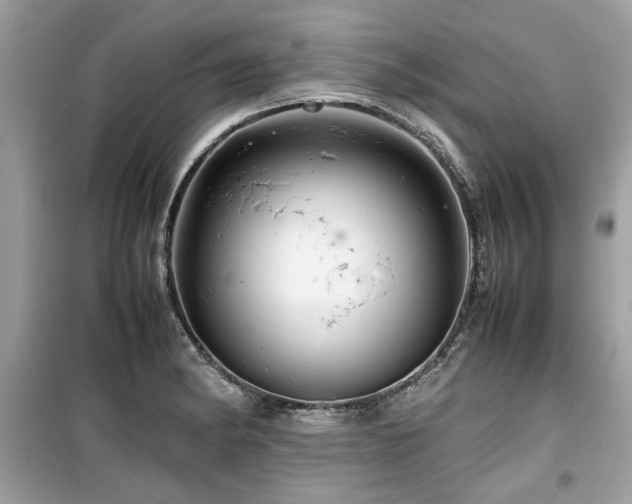 X0000099531182200805161204