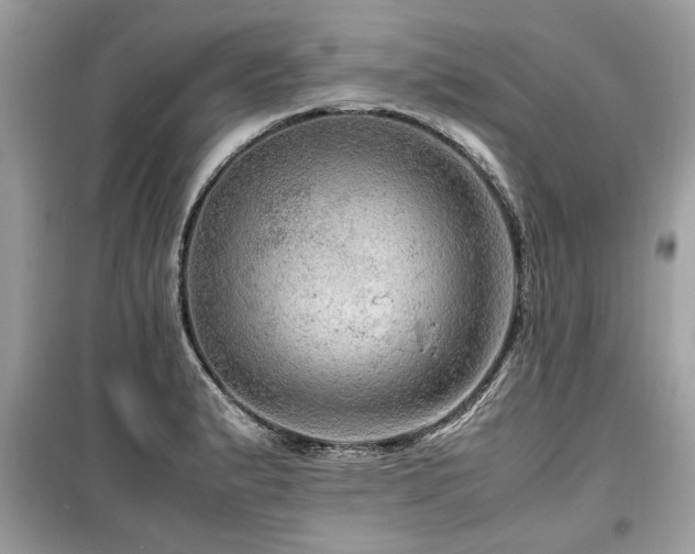 X0000099531183200805161204