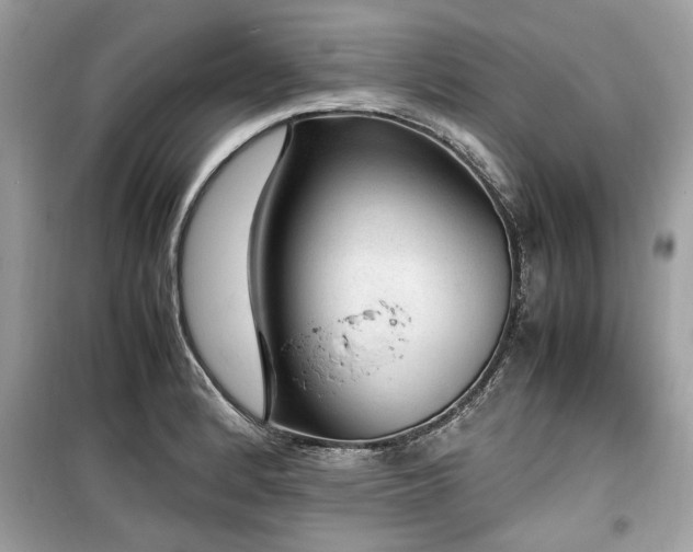 X0000099531184200805161204