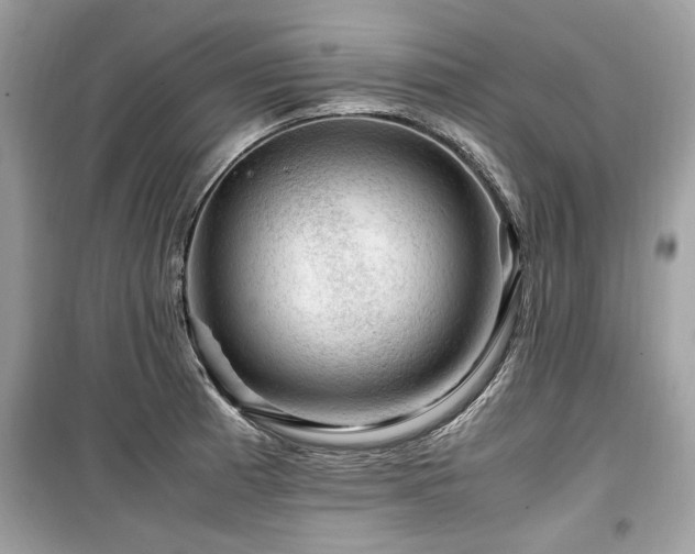 X0000099531185200805161204
