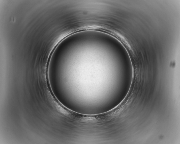 X0000099531186200805161204