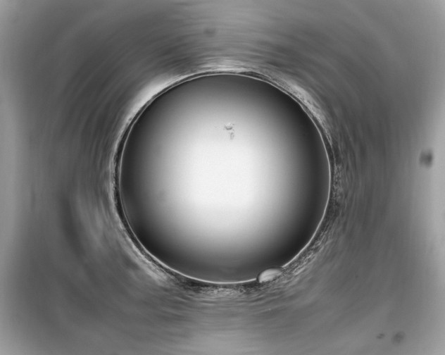 X0000099531187200805161204
