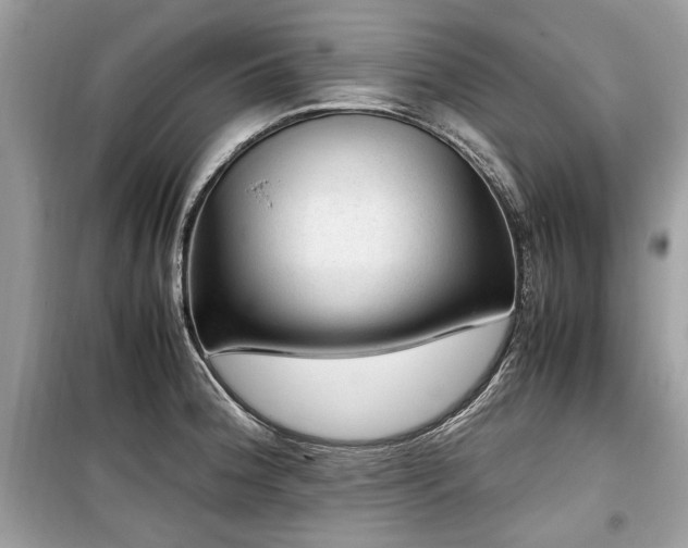 X0000099531188200805161204