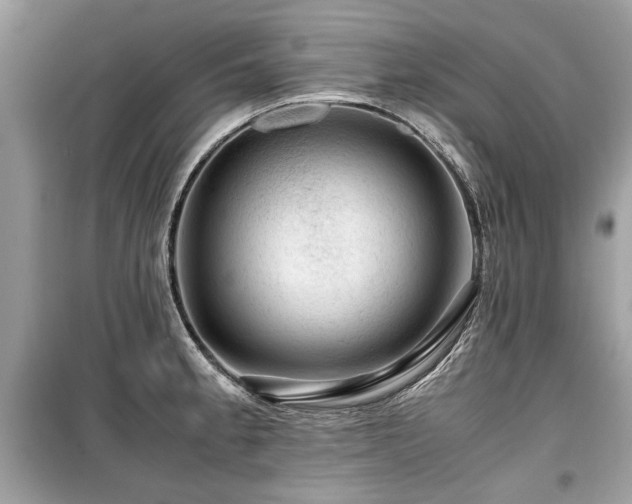 X0000099531189200805161204
