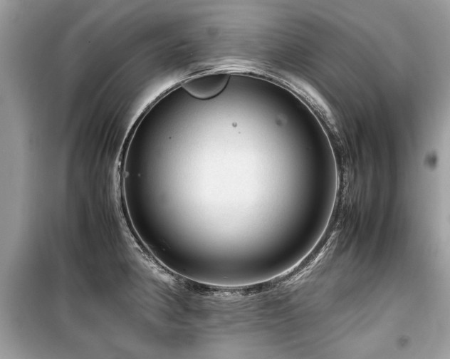 X0000099531190200805161204
