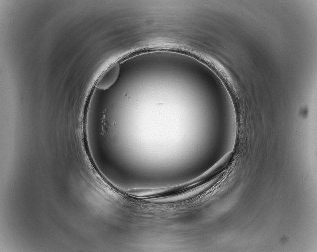 X0000099531191200805161204