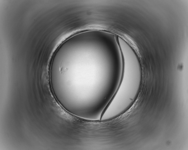 X0000099531192200805161203