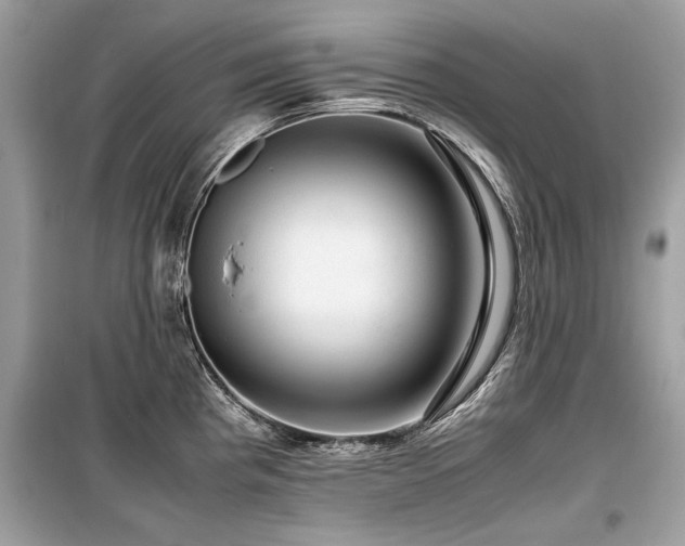 X0000099531193200805161203