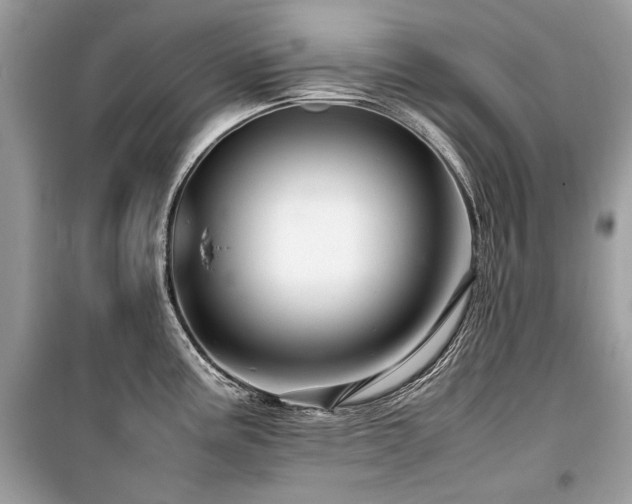 X0000099531195200805161203