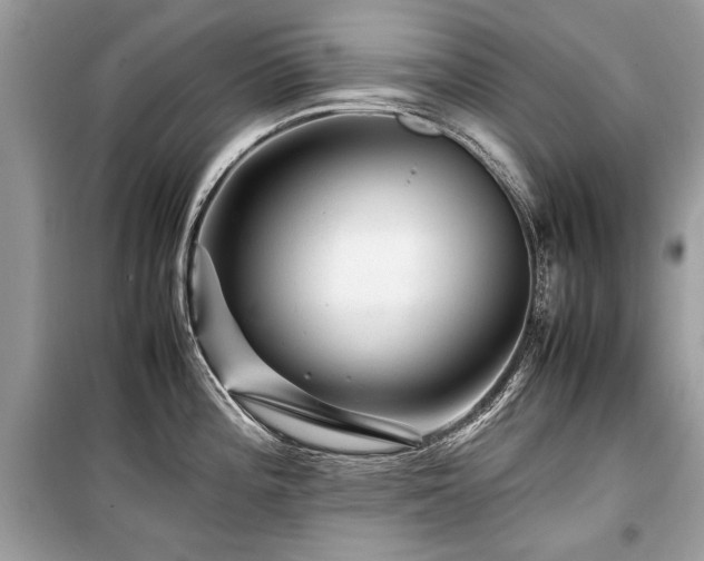 X0000099531196200805161203