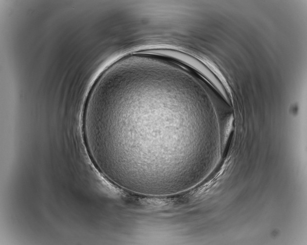 X0000099531197200805161203