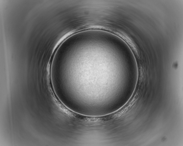 X0000099531198200805161203