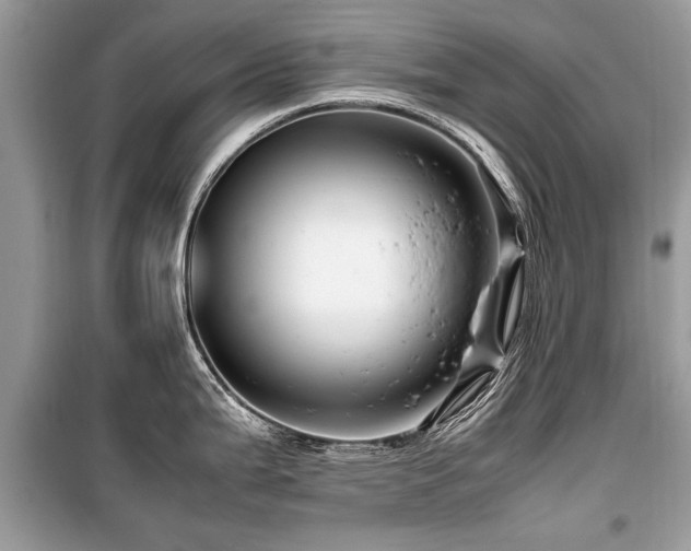X0000099531199200805161203