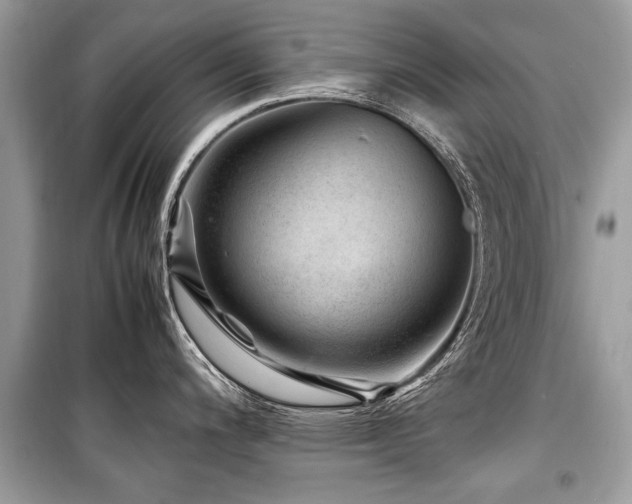 X0000099531200200805161203