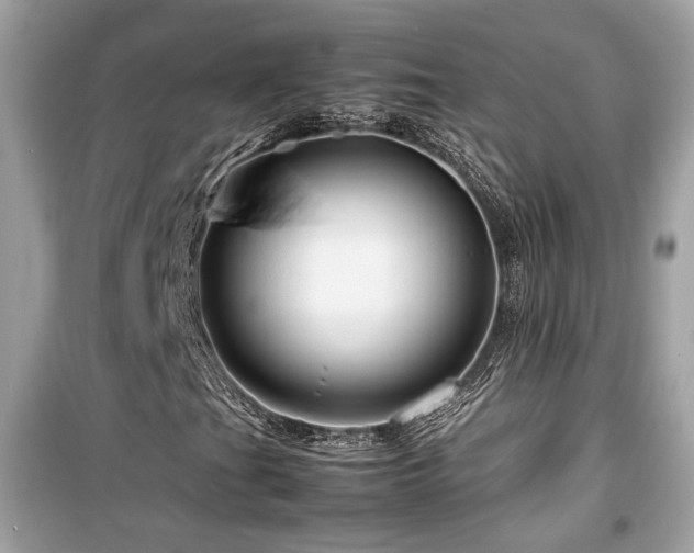 X0000099531201200805161203
