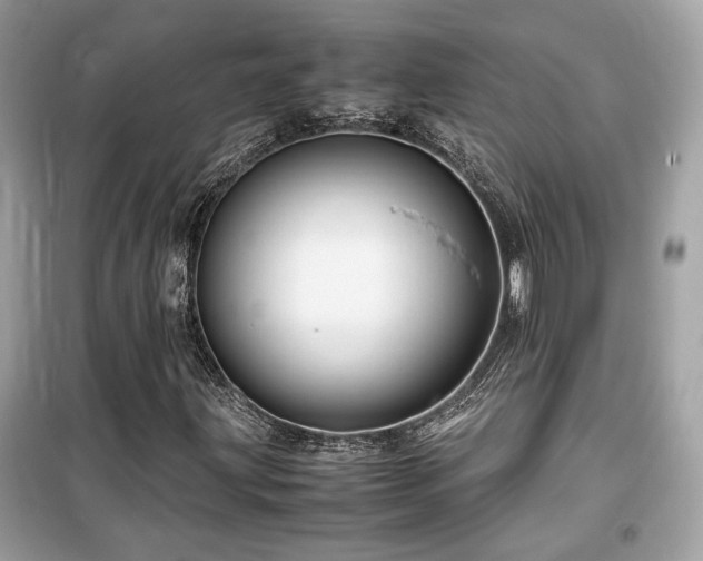 X0000099531203200805161203