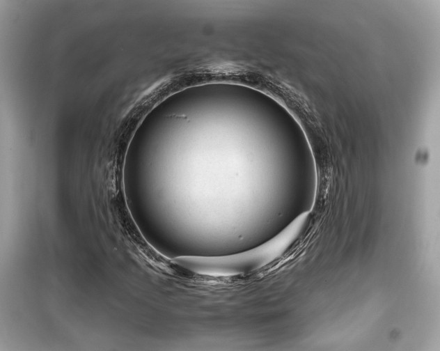 X0000099531205200805161203